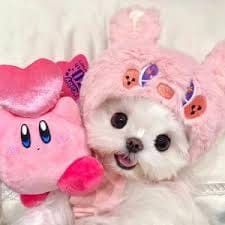 احاد رضا میر avatar